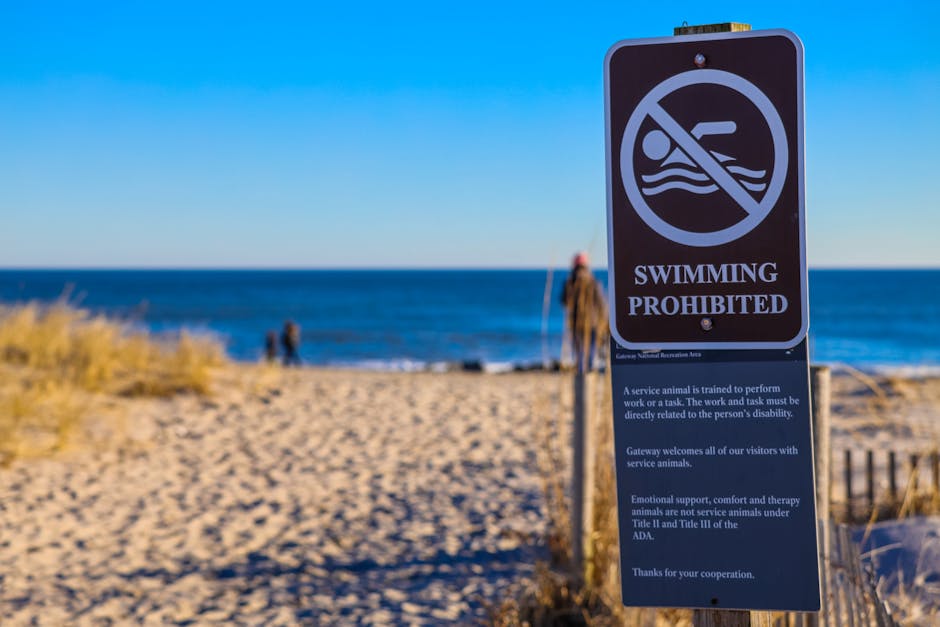 Global Travel Rules Shift as New Council Introduces Regulations for Foreign Visitors - New Visa Policies and Travel Restrictions Reflect Changing Global Priorities
