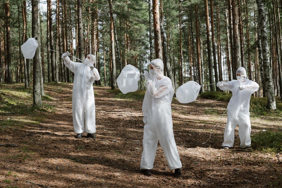 Forest Running for Clarity: How Jogging in Nature Transforms Body and Mind - The Science Behind Clean Air and Natural Environments